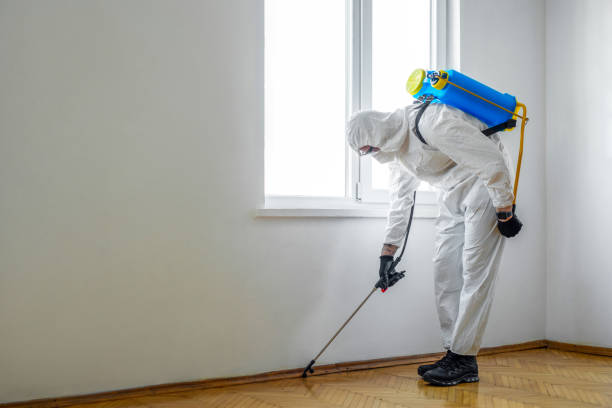 Best Residential Pest Control  in USA